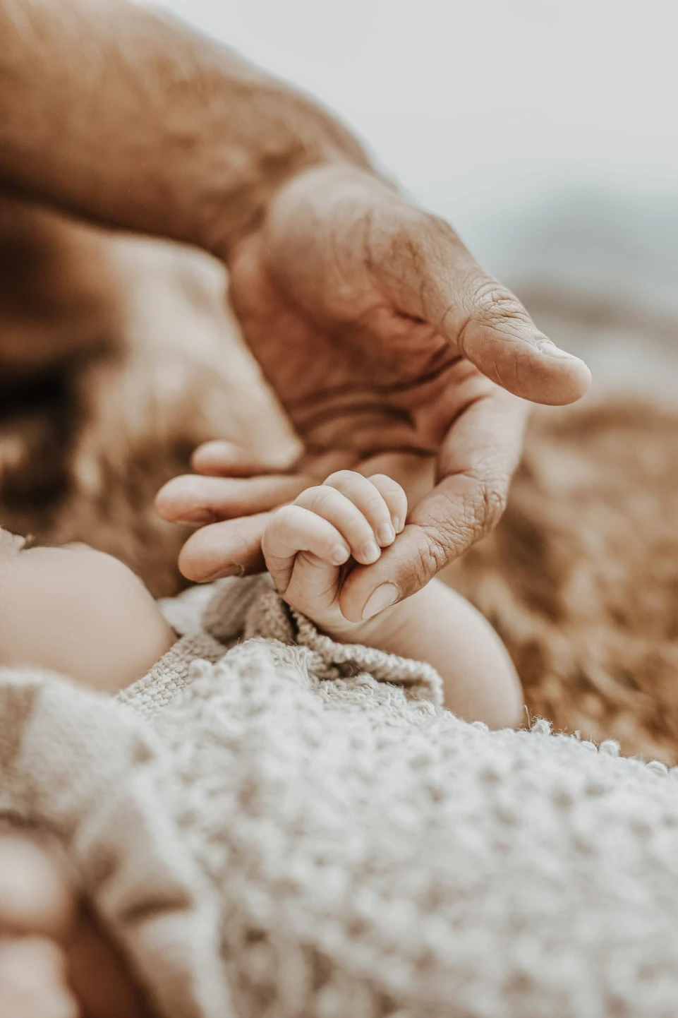 Familie-Baby - Tageslichtstudio - Fotografie Schneider Rostock