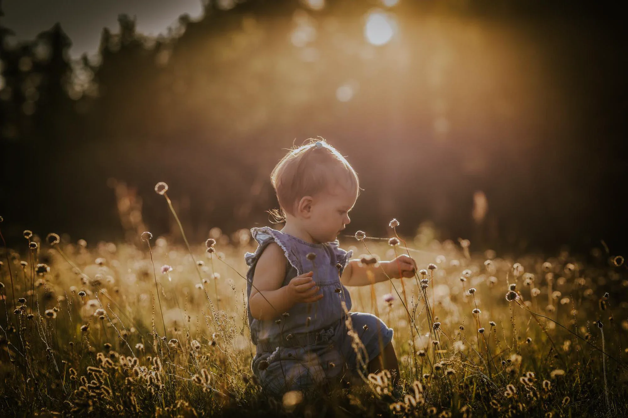 Familien Nature - Fotografie Schneider Rostock