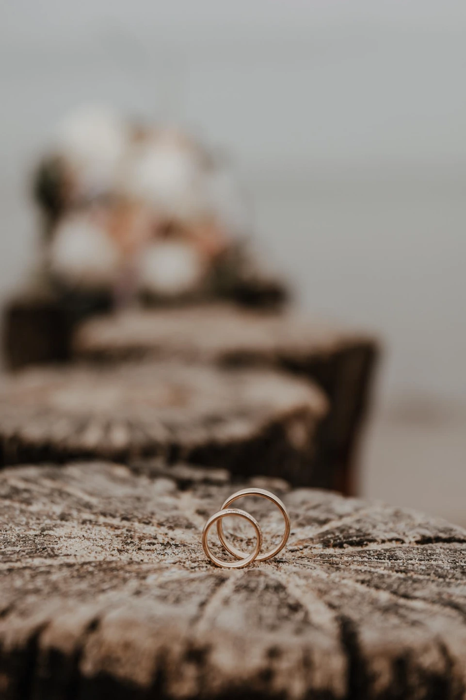 Hochzeitsfotografie - Fotografie Schneider Rostock