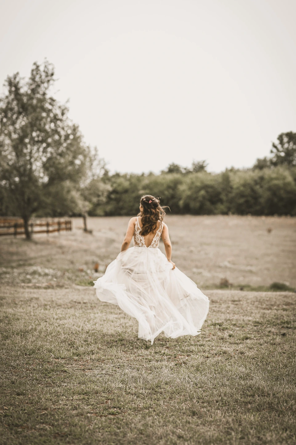 Hochzeitsfotografie - Fotografie Schneider Rostock